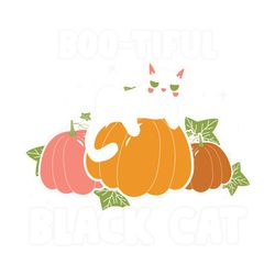 Boo tiful Black Cat
