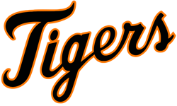 Detroit Tigers, Detroit Tigers Logo svg, Detroit Tigers png, Cricut Detroit Tigers, Detroit Tigers Logo, 0mlb Team,9