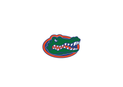 7,Florida Gators logo digital file, Florida Gators Logo Svg,Florida Gators svg, Florida Gators logo, Florida Gators