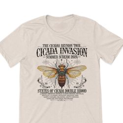 Funny Cicada Concert Tee, 2024 Reunion Tour Cicada T-Shirts, Missouri Illinois Concert Cicada T-Shirt, Band Style Cicada