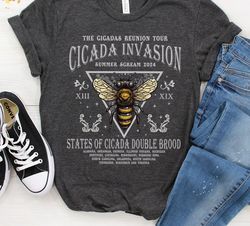 The Cicadas Reunion Tour Shirt, Cicada Concert Tour 2024 Shirt, Year of the Cicadas Shirt, Funny Cicada Tee, Summer Tee
