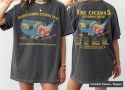 The Cicadas Reunion Tour Shirt, Cicadas Invasion Summer Scream 2024 Tee, Cicadas Emergence Summer Music concert Tee