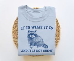It Is What It Is And It Is Not Great, Funny Sweatshirt, Raccoon Sweatshirt, Cartoon Meme Top, Vintage Cartoon Sweater