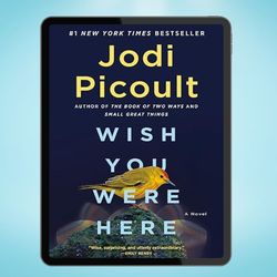 Wish You Were Here: A Novel