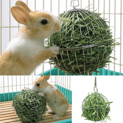 Electroplated Stainless Steel Round Hay Ball: Ideal Pet Toy for Guinea Pigs, Hamsters, and Rabbits