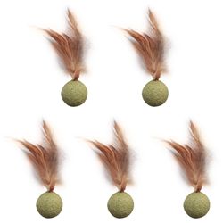 Safe and Healthy Pet Catnip Toys: Edible Balls for Cats' Home Entertainment and Dental Care
