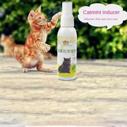Healthy 50ml Catnip Spray for Kittens & Cats: Safe, Easy-to-Use Attractant & Gift for Pets