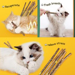 Natural Catnip Dental Sticks for Cats: Silvervine Chew Toy for Teeth Cleaning & Self-Healing, Cat Snack Stick & Pet Acce