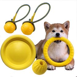 Top-Rated Large Dog Toys: Flying Discs, Chew Balls, and Interactive Rings for Training and Play