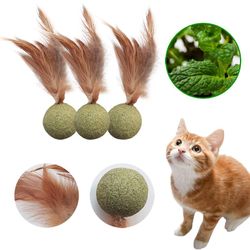 Interactive Cat Toys: Cat Mint Ball, Feather Toy, Snack for Dental Health, and More!