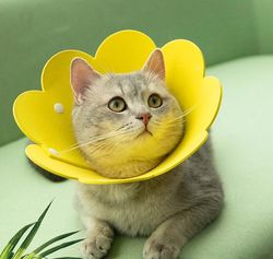 Cute Flower Crown Felt Pet Collar: Post-op Recovery Anti-Lick Collar