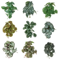 Artificial Terrarium Plant: Lifelike Tropical Leaves for Reptile & Amphibian Tank DEcor