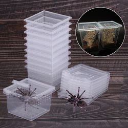 Transparent Plastic Reptile Terrarium: Ideal Habitat for Scorpions, Spiders, Ants, and Lizards
