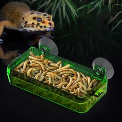 Transparent Reptile Feeder: Anti-Escape Food Bowl with Suction Cups