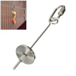 Stainless Steel Pet Bird Fruit Skewer: Ideal Parrot Feeder & Toy Fork