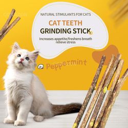 Catnip Clean Teeth Green Cat Snacks Sticks | Molar Stick Pet Supplies & Toys for Cats | Chew Toy with Natural Plants for