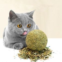Cat Wall Stick-on Ball Toy: Teeth Cleaning, Catnip, Snacks & More | Pet Supplies