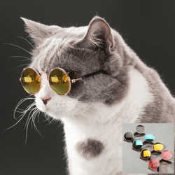 Stylish Pet Eyewear: Dog and Cat Glasses for Small Pets | Sunglasses, Accessories, Toys & More