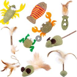 Edible Cat Toy: Catnip Grass Chew for Hairball Removal & Dental Care | Molar Rod, Chicken Feather, Mouse - Pet Supplies