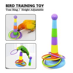 Interactive Parrot Bird Toy for Chewing and Training | Swing Ball, Rings, and Ferrule Decoration