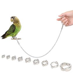 Stainless Steel Parrot Traction Rope: 50cm Chain for Safe Bird Travel