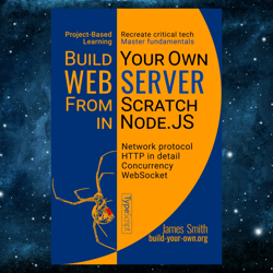 Build Your Own Web Server From Scratch in Node.JS: Learn network programming, HTTP, and WebSocket by James Smith (Author
