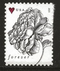 US 2015 Vintage Rose Postage Booklet Stamps of 20