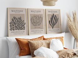 Matisse Print Set for Home Decor - Set of 3 Framed Prints, Matisse Art Collection, Matisse Inspired Wall Art, Matisse Ab
