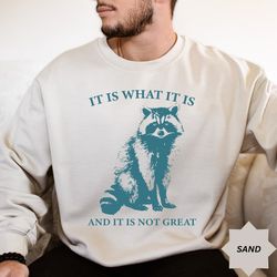 It Is What It Is And It Is Not Great Sweatshirt, Vintage Shirt, Raccoon Sweatshirt, Mental Health Sweatshirt, Funny Swea
