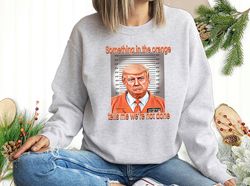Political Sweatshirt Donald Trump Jail President Trump Liberal Shirt Social Activism Trump for Prison Republican Sweatsh