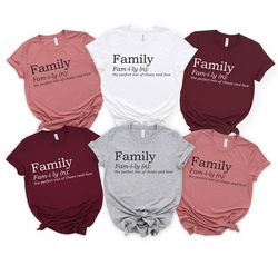 Family the Perfect Mix of Chaos and Love Shirt, Cute Family Shirt, Funny Family Shirt, I Love My Family, Family Definiti