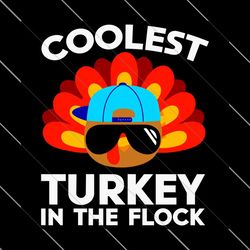 Coolest Turkey In The Flock Thanksgiving Svg, Thanksgiving SVG File