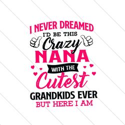 I Never Dreamed I Would Be This Crazy Nana Svg, Trending Svg, Crazy Nana Svg, Cutest Grandkids Svg, Grandkids Svg, Grand