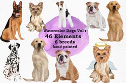 Dog Breeds Clipart Png Graphic, Watercolor Dog, Dog Illustration