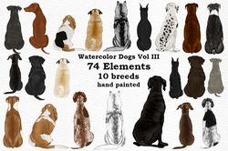 Dog Clipart Graphic Png, Animal Png, Watercolor, Dog Png, Dog Breeds