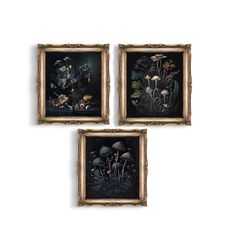 Set of 3 Dark Botanical Art Prints |