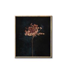 Moody floral printable wall art, Dark botanical downloadable