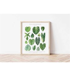 Philodendron Genus Poster House Plants, Houseplant Lover Wall