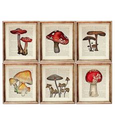Set of 6 Prints Mushroom Wall Art, Mushroom