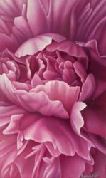Pink peony painting Original floral design Narrow canvas Living Room Modern flower art Botanical wall art
