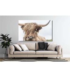 Scottish Cow Poster, Scottish Highland Cattle Canvas Wall