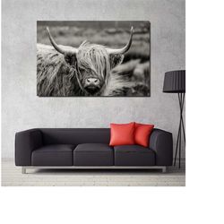 Scottish Cow Canvas Print Art, nimal Wall Decor,Scottish Highland Cattle Canvas Wall Art Print,Black White Wall Art,Extr