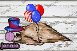 4th of July Sublimation PNG Design 13