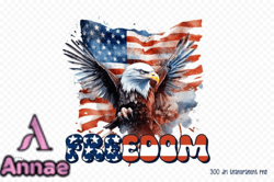 4th of July Sublimation, Freedom PNG Design 63
