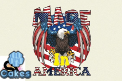 Made in America Design 67