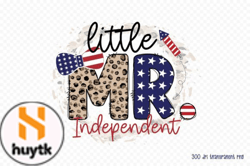 Little Miss Liberty PNG, 4th of July PNG Design 30