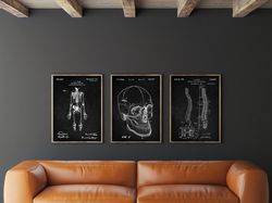 Anatomical Patent Poster Set of 3, Skeleton Poster, Hospital Decor, Skull, Spinal Art, Office Decor, -1.jpg