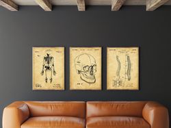 Anatomical Patent Poster Set of 3, Skeleton Poster, Hospital Decor, Skull, Spinal Art, Office Decor, .jpg