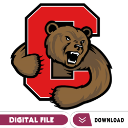 Cornell Big Red Svg, Football Team Svg, Basketball, Collage, Game Day, Football, Instant Download