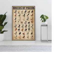Breeds Of Pigeon Vintage Poster, Pigeon Lover Gift,